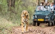 Jaipur, Ranthambore & Pushkar Tour Packages