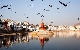 Jaipur, Ranthambore & Pushkar Tour Packages