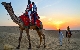 Jaipur, Pushkar, Jodhpur, Jaisalmer, Udaipur & Mount Abu Tour Packages