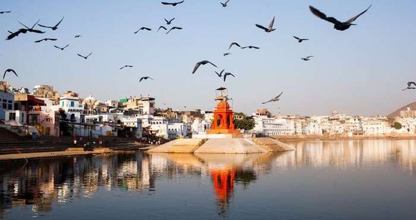 Jaipur, Ranthambore & Pushkar Tour Packages