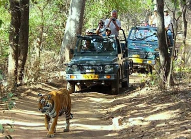 Jaipur, Ranthambore & Pushkar Tour Packages